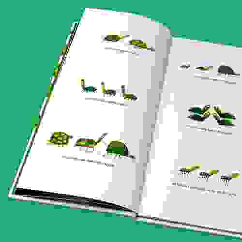 Tarataruga_Foto2