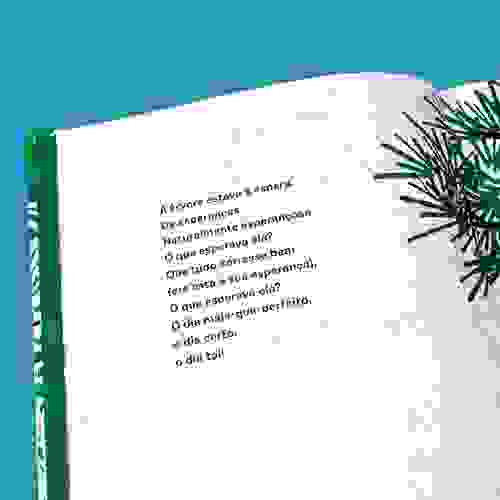Cem sementes que voaram - Foto 1