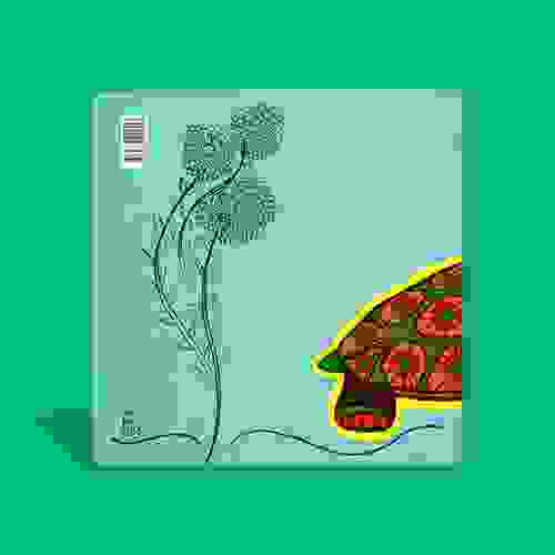 Quarta Capa Tem Festa na Floresta