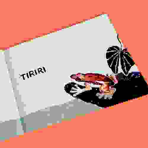 Crá-Crá de Tucano - Foto 2