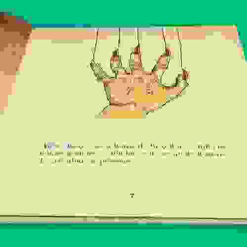 Miolo A pior senhora do mundo