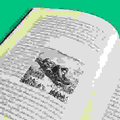 Miolo Viagens de Gulliver