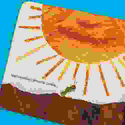 Miolo Uma lagarta muito comilona