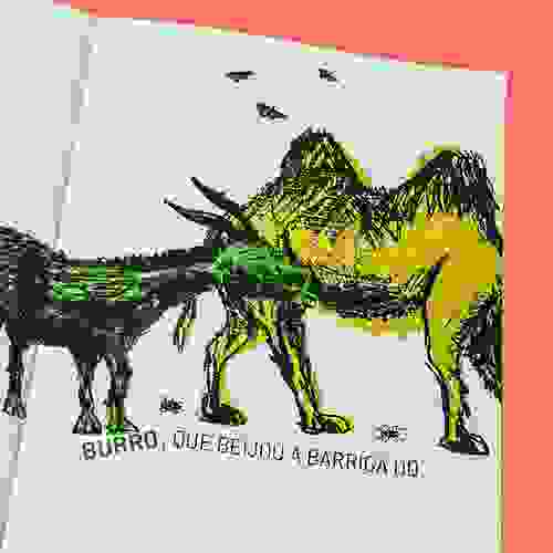 Miolo Deu zebra no ABC