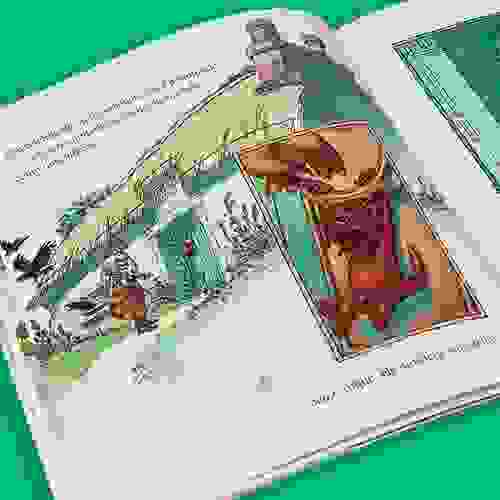 Miolo Instruções