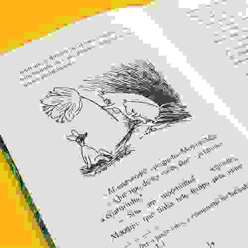 Miolo Os moomins e o dilúvio