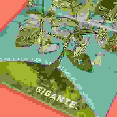 Miolo Se eu fosse uma árvore