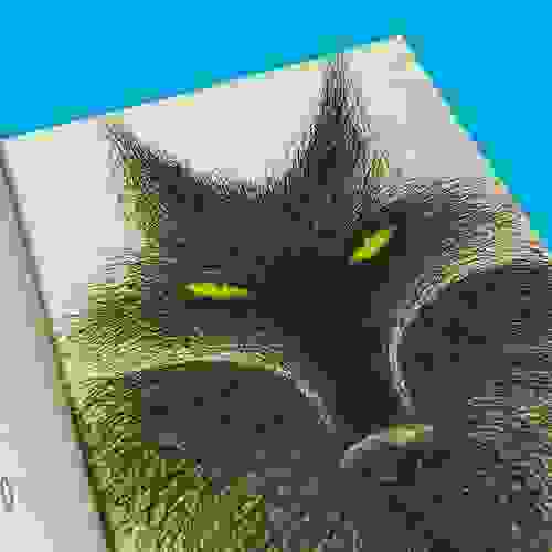 Miolo Este é o lobo