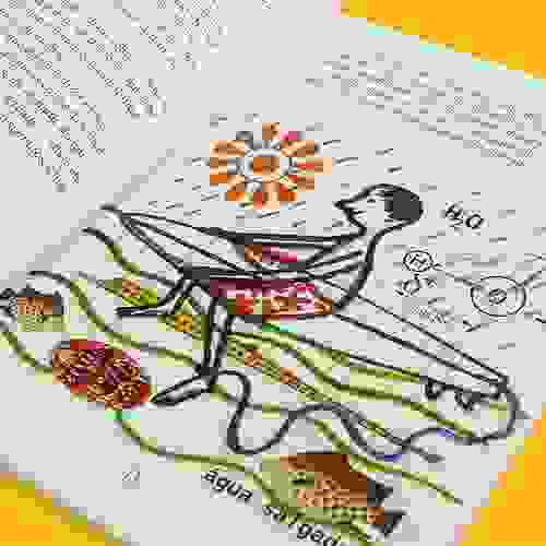 Miolo O livro das palavras