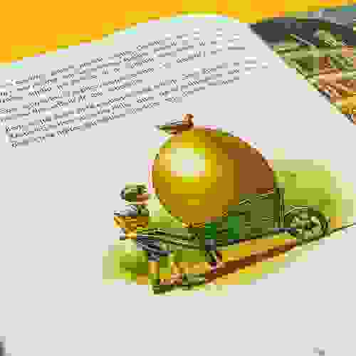 Miolo Meu filhote dragão