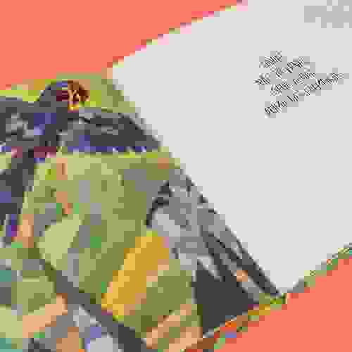 Miolo Cadê os Bichos