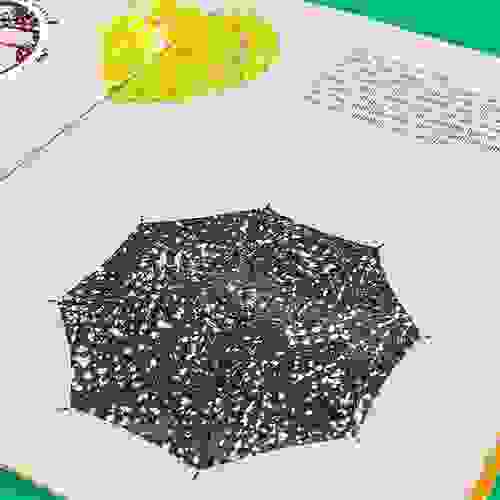 Miolo O guarda-chuva que desenguardachuvou
