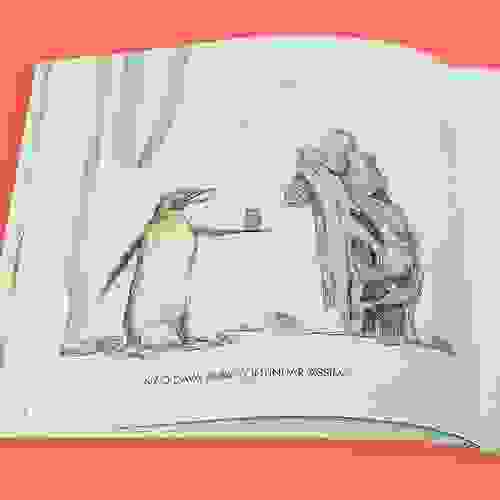 Miolo Gordon e Tapir