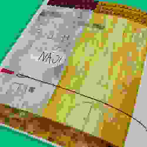 Não - miolo