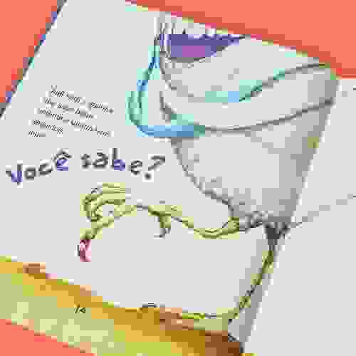 Miolo A fada Sempre-Viva e a galinha-fada