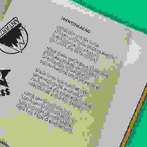 Miolo Um passarinho me contou