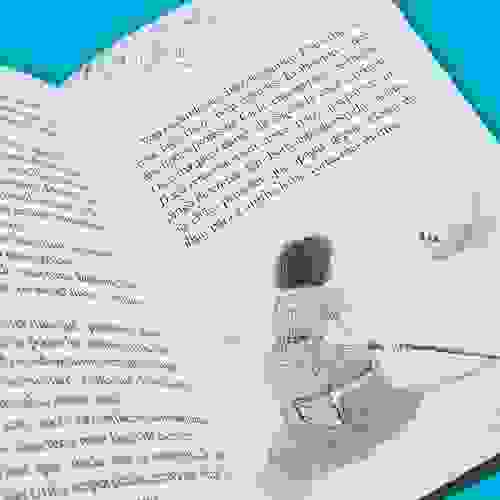 Miolo Os livros de Sayuri