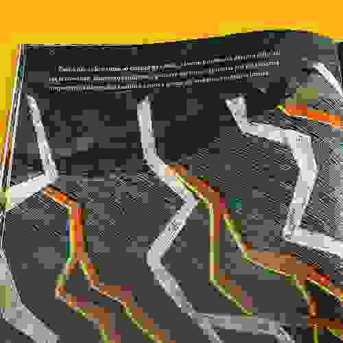 Miolo A professora da floresta e a grande serpente