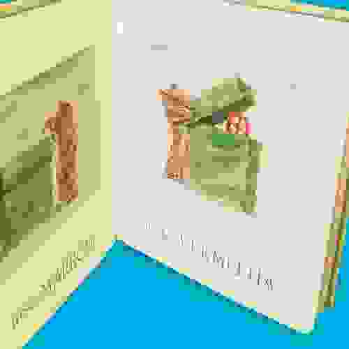 Miolo Urso e a Caixa