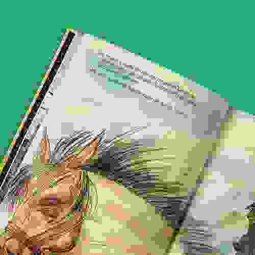 O Herói Imóvel - miolo