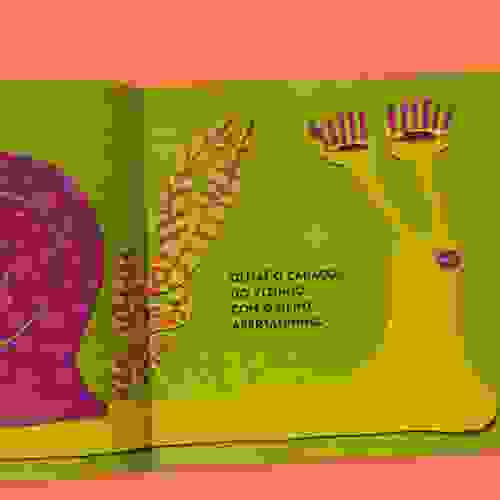 Miolo Olha Olha 3