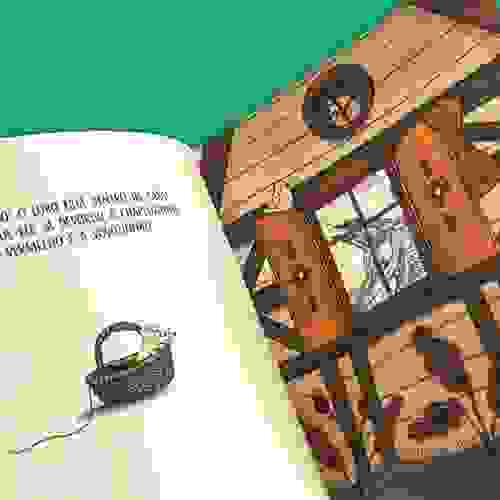 Olhe Pela Janela 3