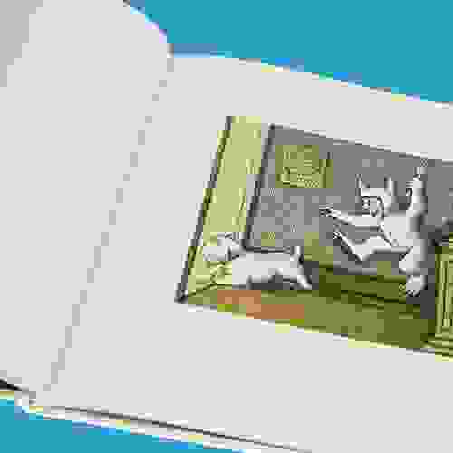 OndeVivemMonstros-Foto3