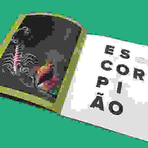 coisasCoisas-Foto3