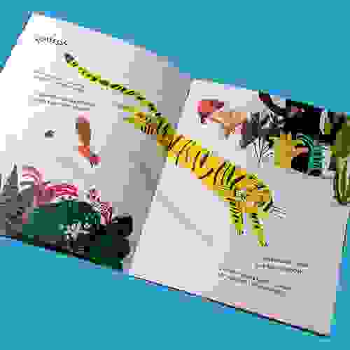 oInvasor_Foto3