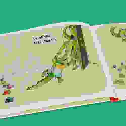 O que o crocodilo diz no parque Foto2
