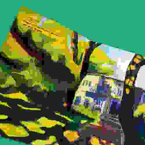 HojeEuViUmPicaPau_Foto3