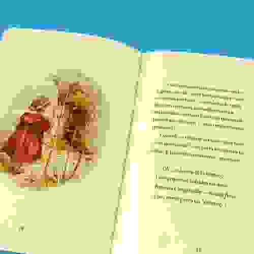 A história da Senhora Tiggy Tipico Foto3