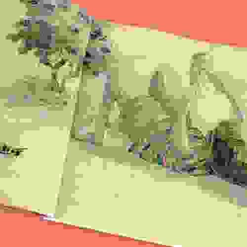 Primavera 2