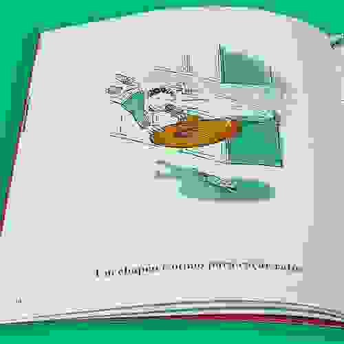 Miolo Chapéu