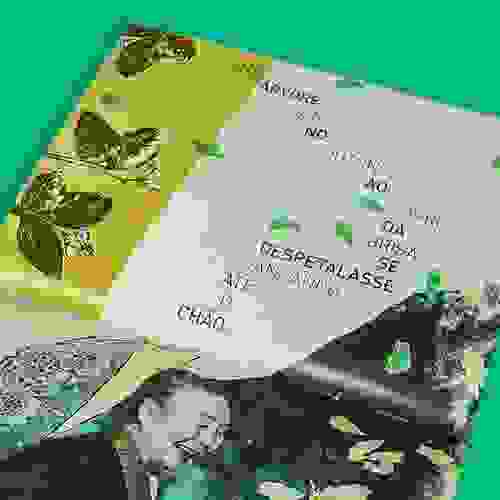 Miolo Se eu fosse uma árvore