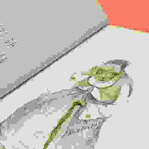 Miolo Este é o lobo