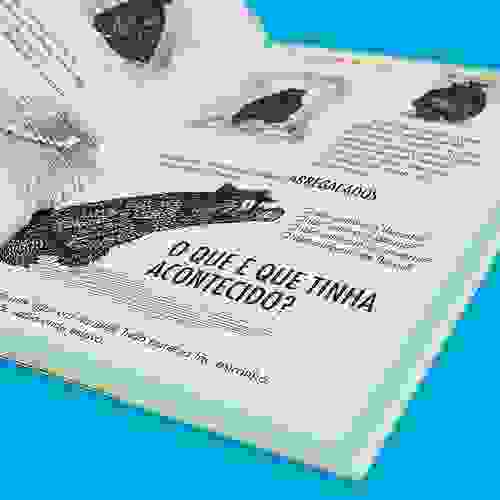 Miolo O urso que não era
