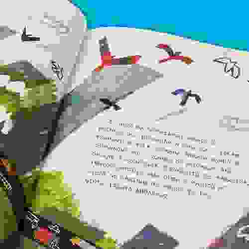 Miolo O dia em que meu prédio deu no pé