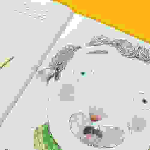 Miolo O quadro