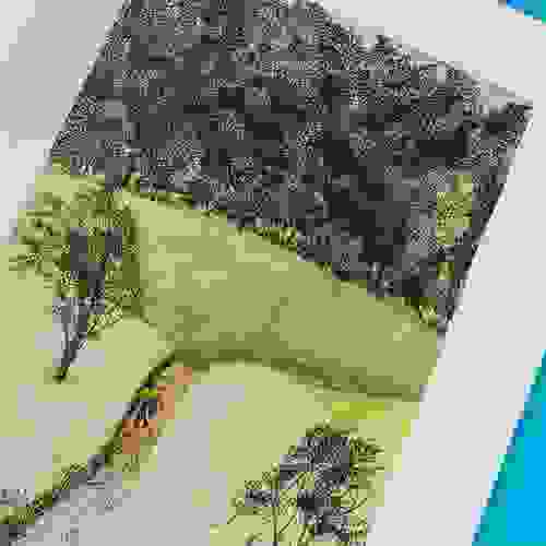 Miolo A floresta