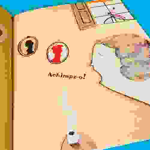 Miolo Achimpa