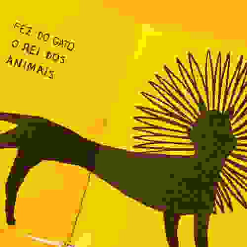 Miolo Dia de sol