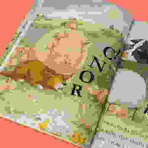 Página do livro Dorminhoco