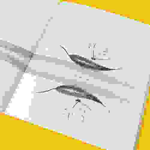 Página do livro Chão de peixes