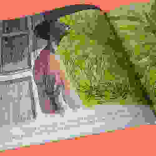 Miolo Tedio das Tardes Sem Fim