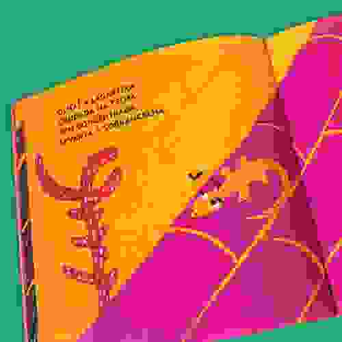 Miolo Olha Olha 4