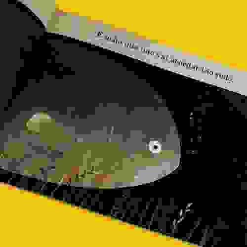 Este Chapeu Nao E Meu 4