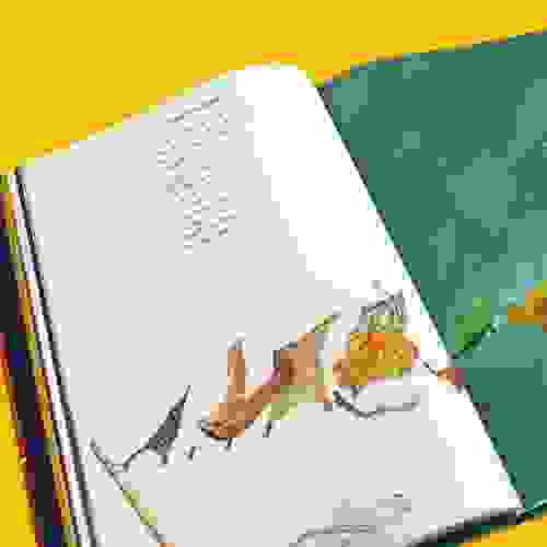 ArcaDeNoei-Foto4