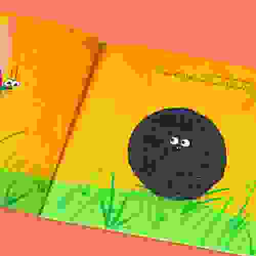 BichoBolota-Foto4