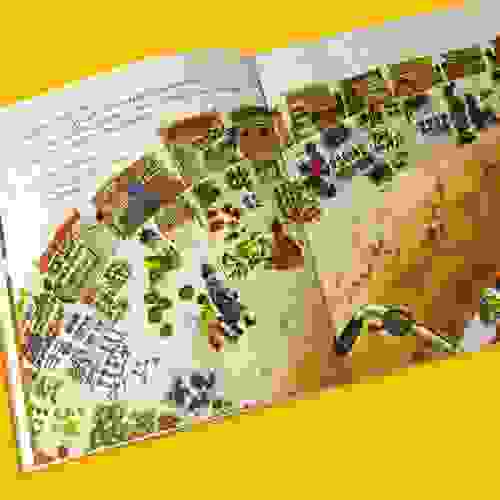 PigaFrango_Foto4